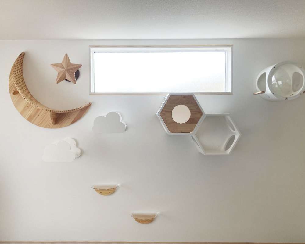 ペットと住むリフォームで叶える快適な暮らしの工夫と福岡県宗像市で知っておきたいポイント